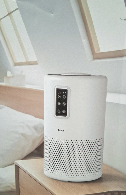 G-Teck / Vewior air purifier