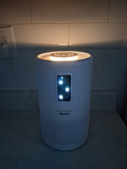 G-Teck / Vewior air purifier