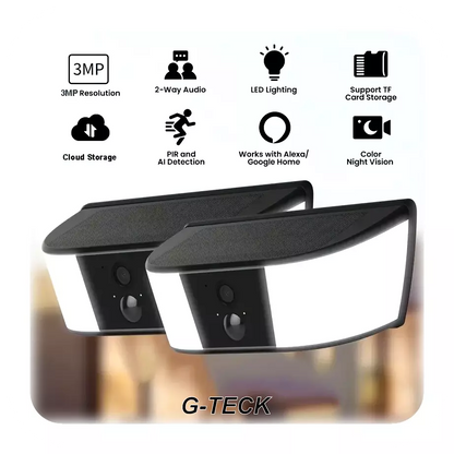 Solar wireless Security Camera with light
