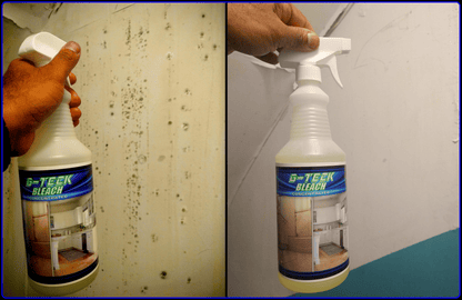 G-Teck special indoor-outdoor fungi and mold eliminator